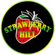 Strawberry Hill London