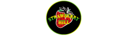 Strawberry Hill London
